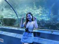 ท่องเที่ยวกับโลกใต้ท้องทะเล Underwater World ญาจาง