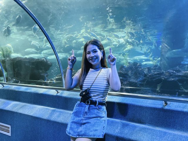 ท่องเที่ยวกับโลกใต้ท้องทะเล Underwater World ญาจาง