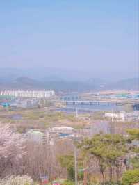 로맨스 영화의 한 장면이 생각나는 "침산공원"