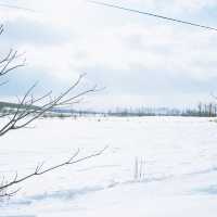 天へと続く道ver.雪