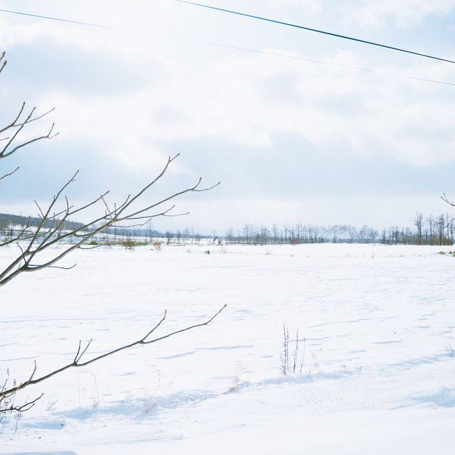 天へと続く道ver.雪