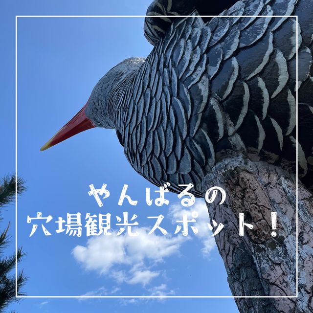 【沖縄県】やんばるの穴場観光スポット！