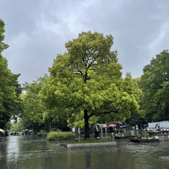 도쿄 도심속 호수공원, 우에노 공원