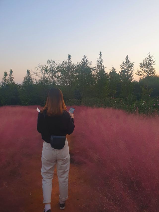 사계절마다 색다른 느낌을 주는 ‘청산수목원’을 소개합니다☺️
