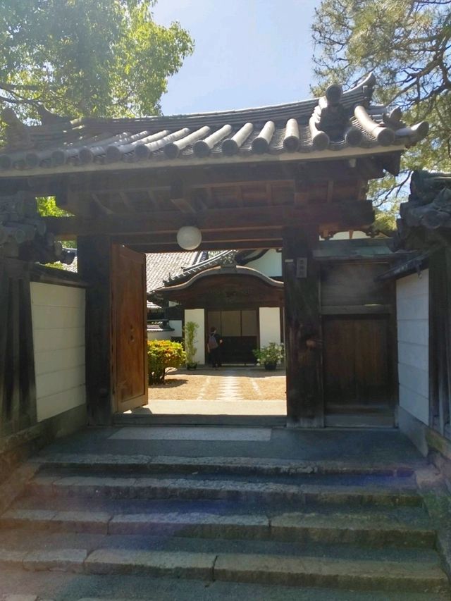 【京都】平等院を散策