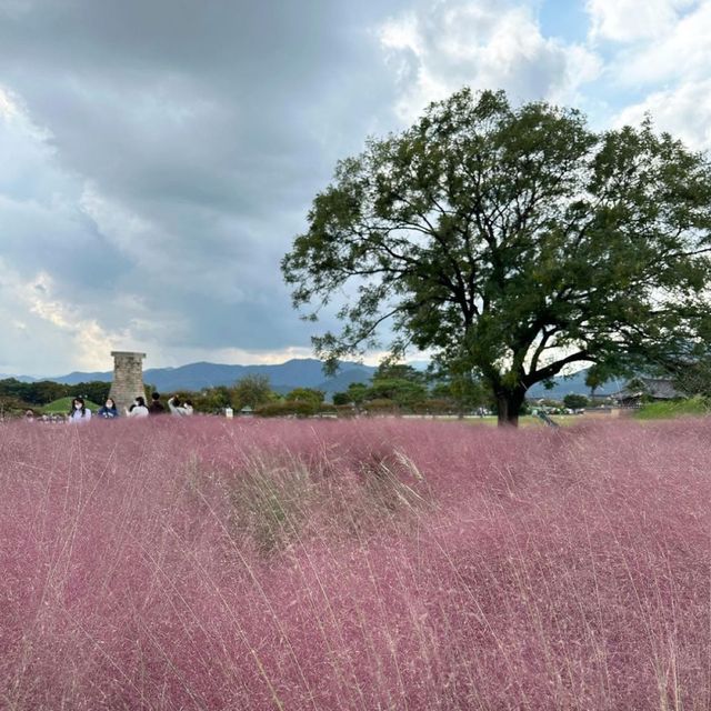 【韓国/慶州】 東洋最古の天文台！世界遺産