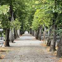 Why visiting a historical cemetery?