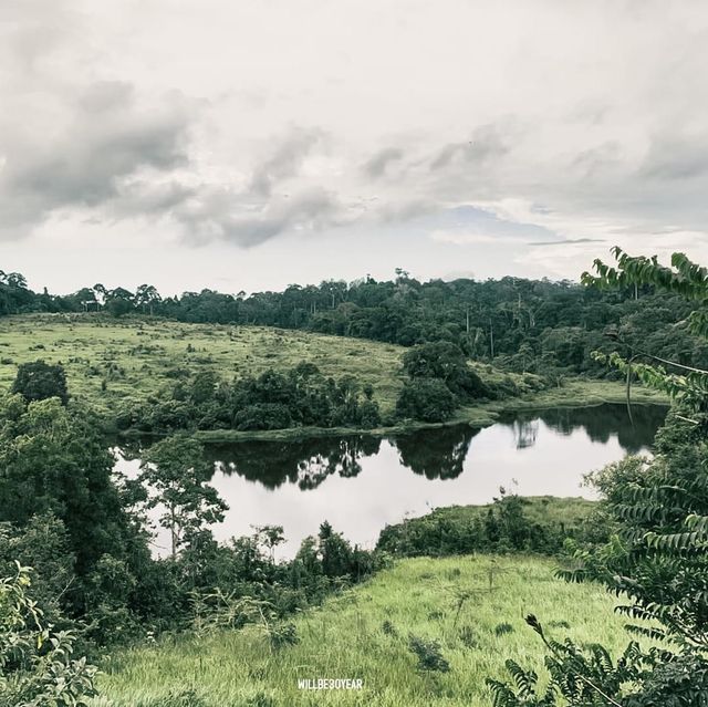 ขับรถรับลมเย็นในฤดูฝนที่ อุทยานแห่งชาติเขาใหญ่ 