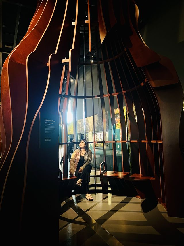 The nth time in the Museum!
