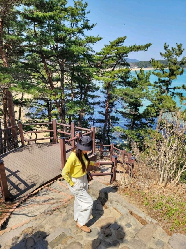 고성의 아름다운 화진포 해변의 볼거리🩵