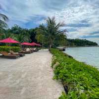 Premium Moo-Ka-Ta on the Beach (หมูกระทะ) 