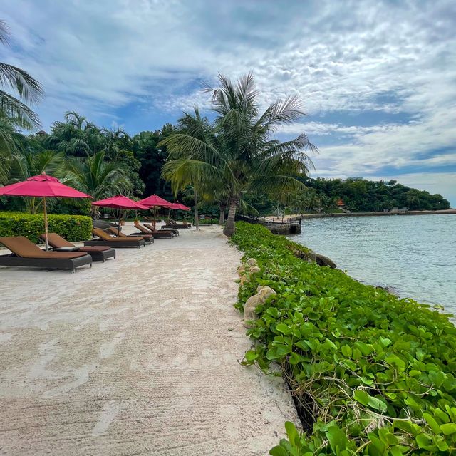 Premium Moo-Ka-Ta on the Beach (หมูกระทะ) 
