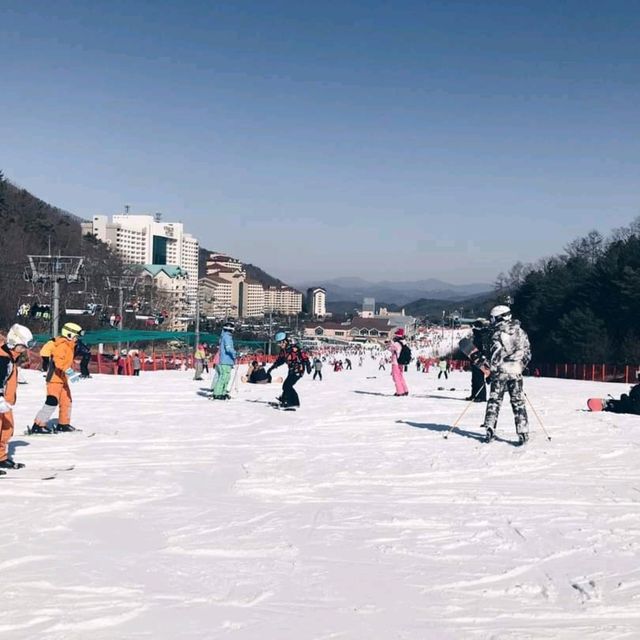 พาเที่ยว Vivaldi Park Ski Resort ลานสกียอดฮิต