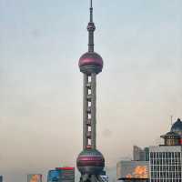 MUST EAT -  CEJERDARY IN SHANGHAI! 🇨🇳