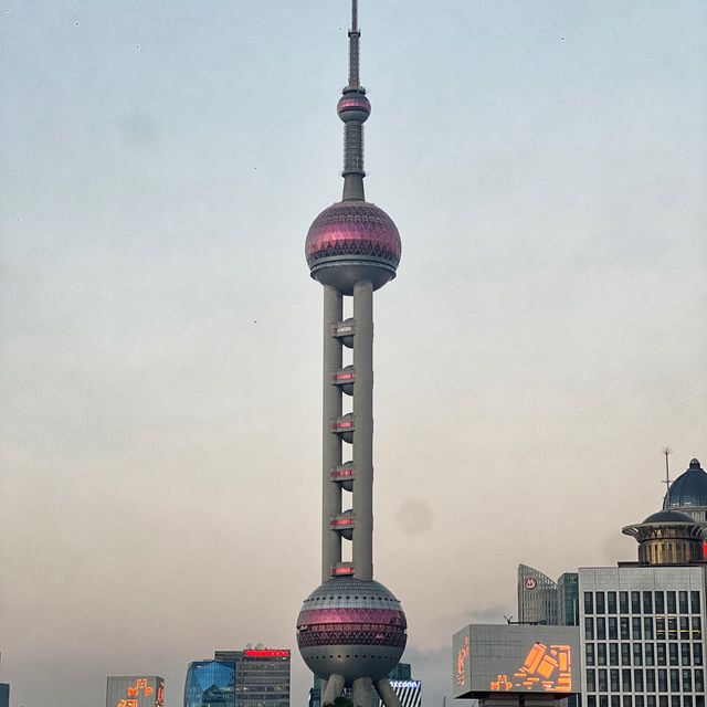 MUST EAT -  CEJERDARY IN SHANGHAI! 🇨🇳