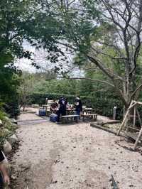 〖 福岡･太宰府市〗山奥にある絶品炭焼地鶏がいただける名店😊✨
