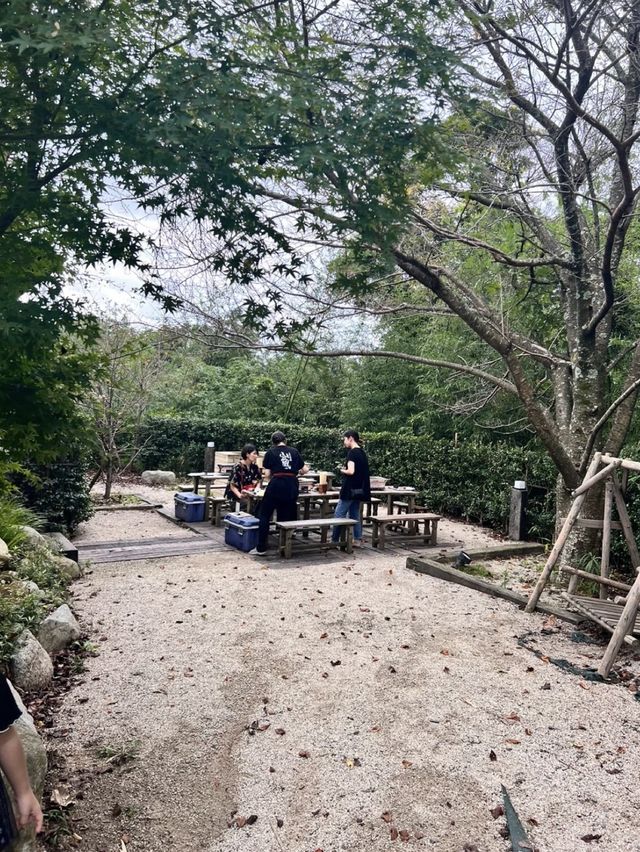 〖 福岡･太宰府市〗山奥にある絶品炭焼地鶏がいただける名店😊✨