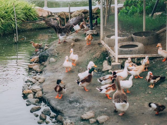 Lhor Liang Farm หล่อเลี้ยงฟาร์ม