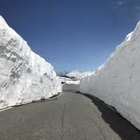 潔白的雪走廊 — 乘鞍高原
