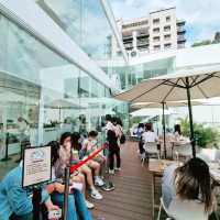 Foam Cat Cafe in Taichung