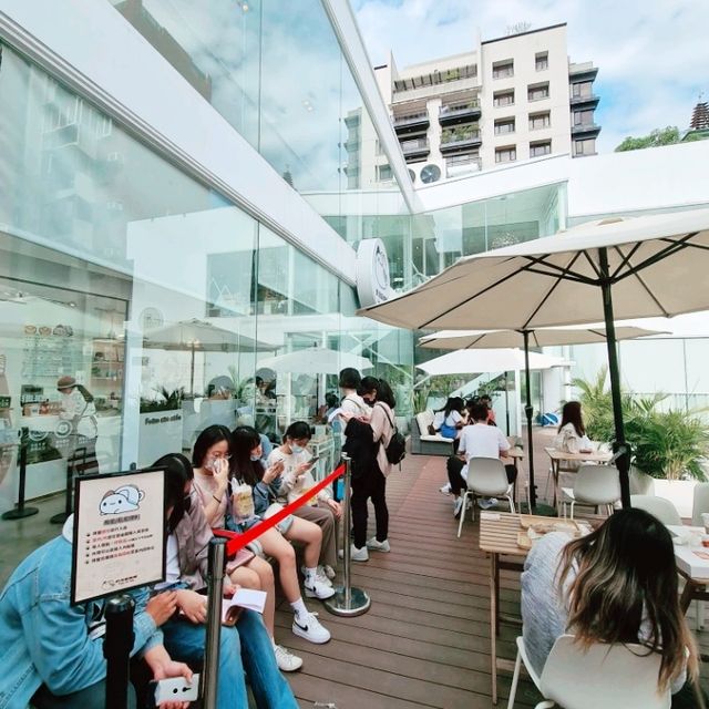 Foam Cat Cafe in Taichung