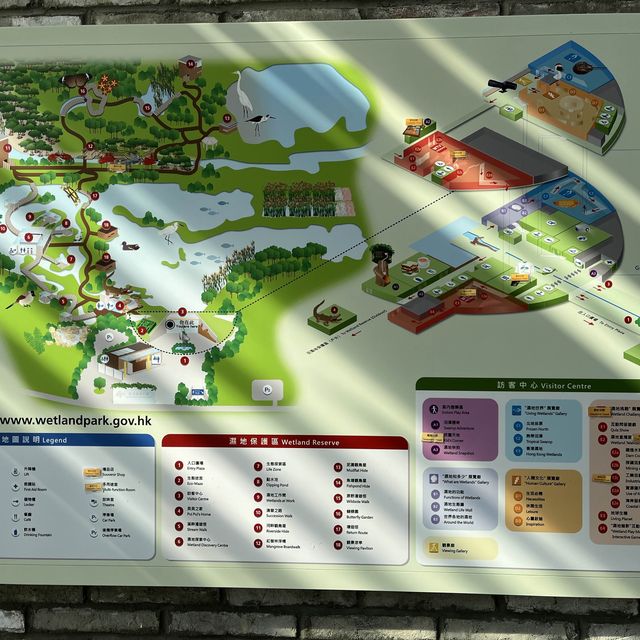 美麗的濕地公園！
