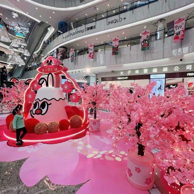 春日櫻花緣