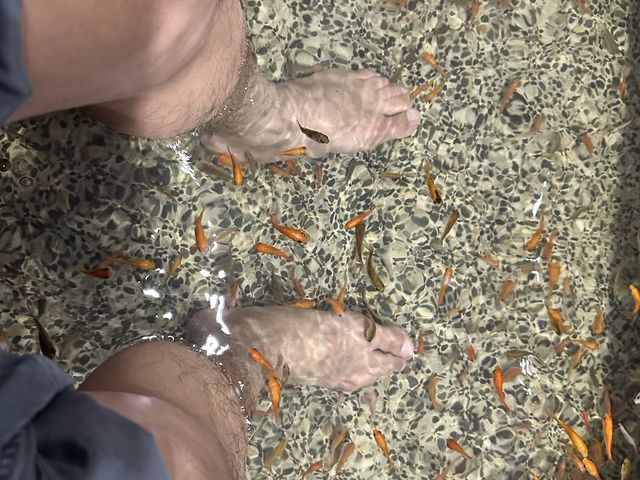 溫泉的好所在之我要給魚吃腳腳