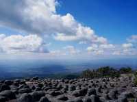 อุทยานแห่งชาติ ภู หิน ร่อง กล้า - ผา ชู ธง