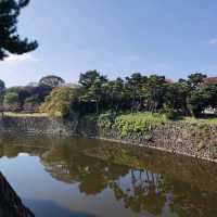 Experience Traditional Culture in Tokyo