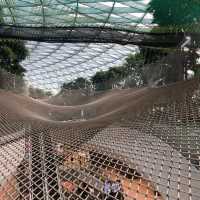 We have so much fun @ Jewel Canopy Park