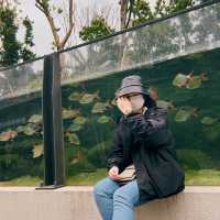 Xpark Aquarium in Taoyuan