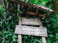 หมู่บ้านแม่กำปอง จ.เชียงใหม่