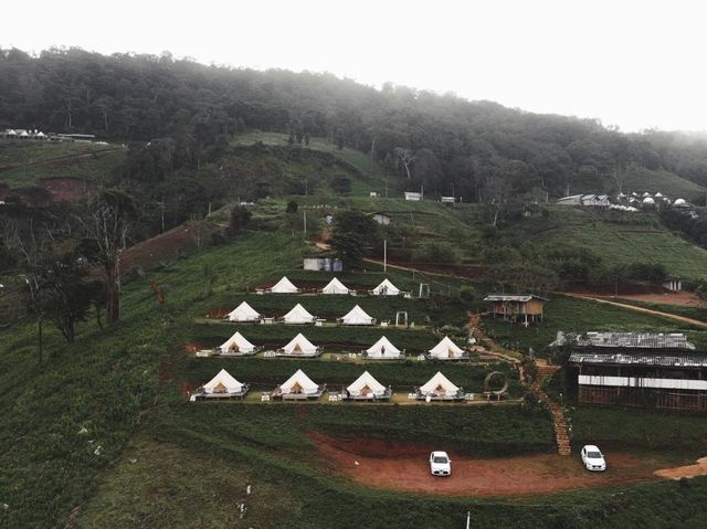CAMP Phuchifa แคมป์ภูชี้ฟ้า 