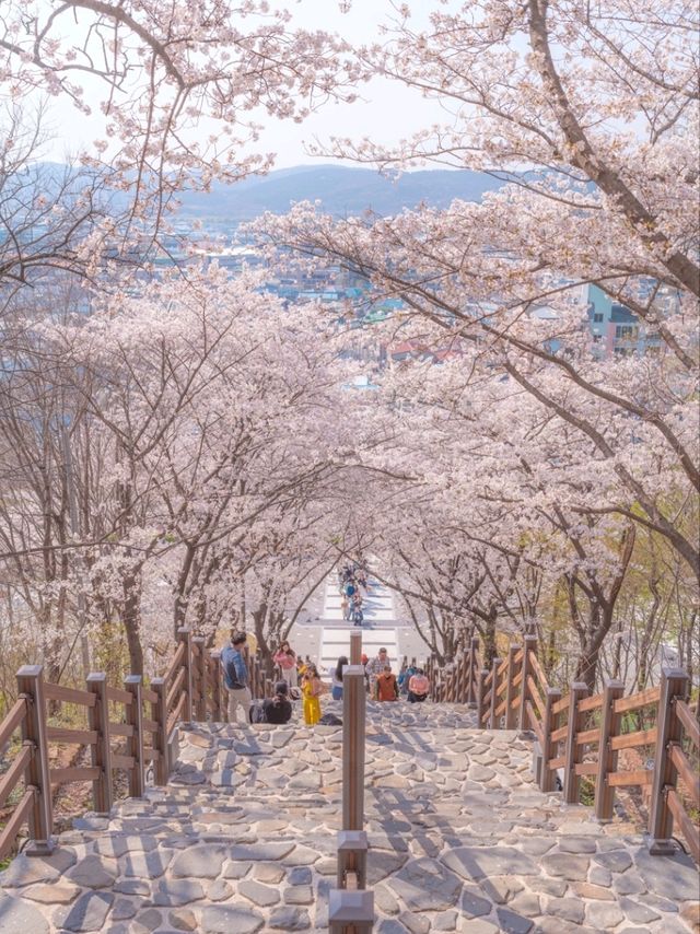 로맨스 영화의 한 장면이 생각나는 "침산공원"