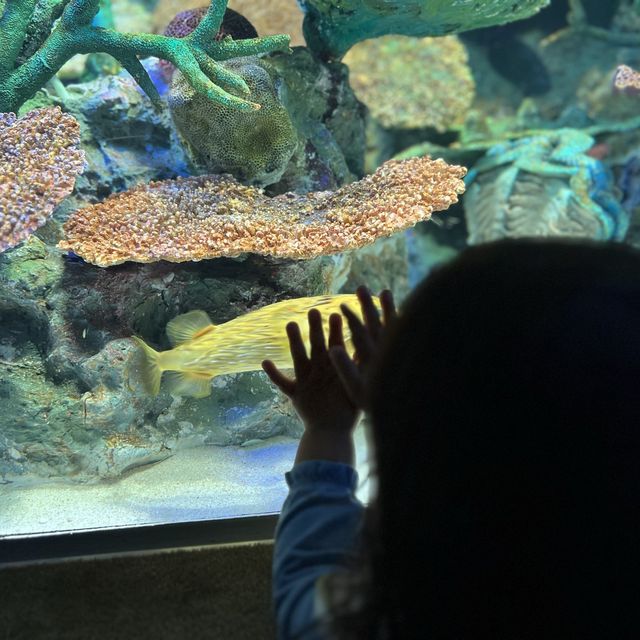 雨の日に水族館に行ってきた❤️