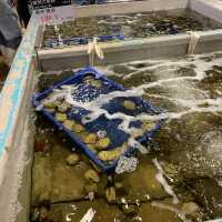 รีวิว - ตลาดปลาไทเป Taipei Fish Market 🐠