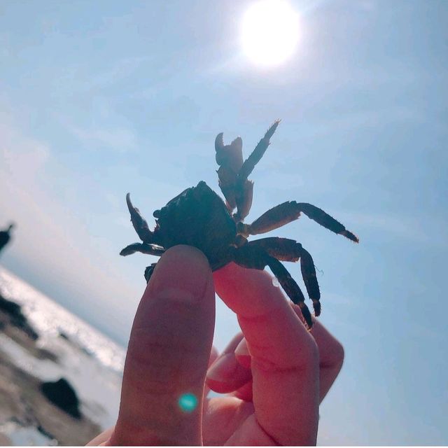 【神奈川県/藤沢市】江の島/稚児ヶ淵