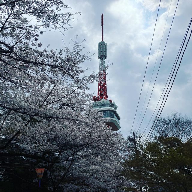 四季様々な顔を見せる　宇都宮　八幡山公園