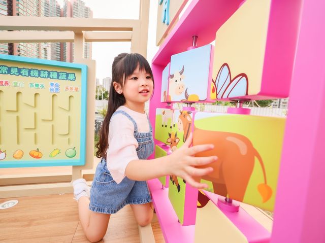 綠「惜」青衣  三大戶外互動綠化打卡位清新登場