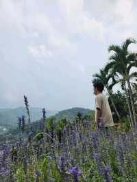ปานวิมาน เชียงใหม่ ที่พักวิวดี สวย สงบ บนเนินเขา