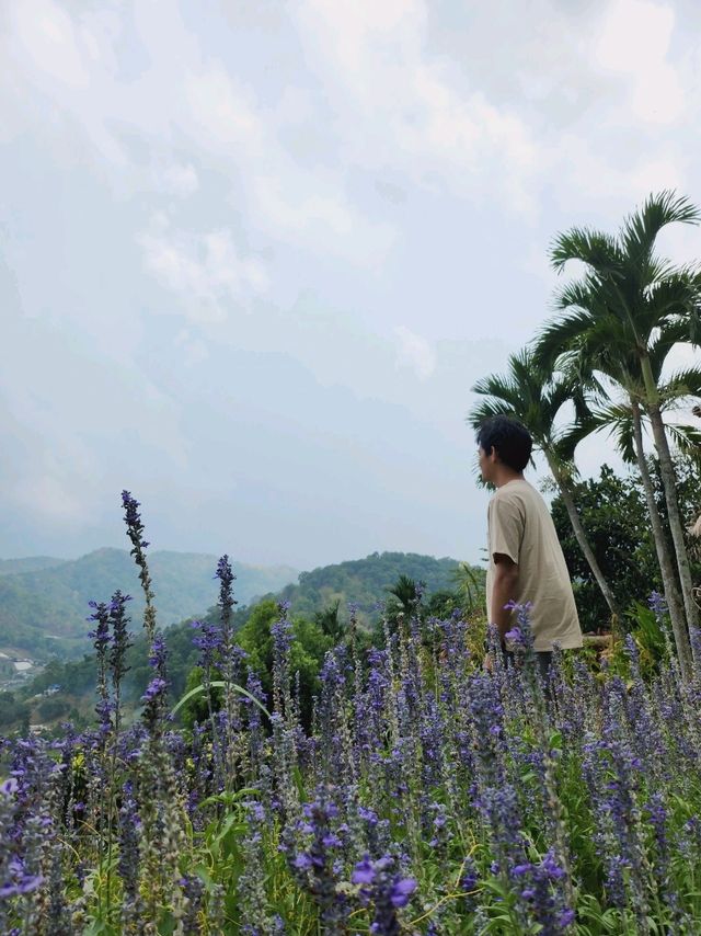 ปานวิมาน เชียงใหม่ ที่พักวิวดี สวย สงบ บนเนินเขา