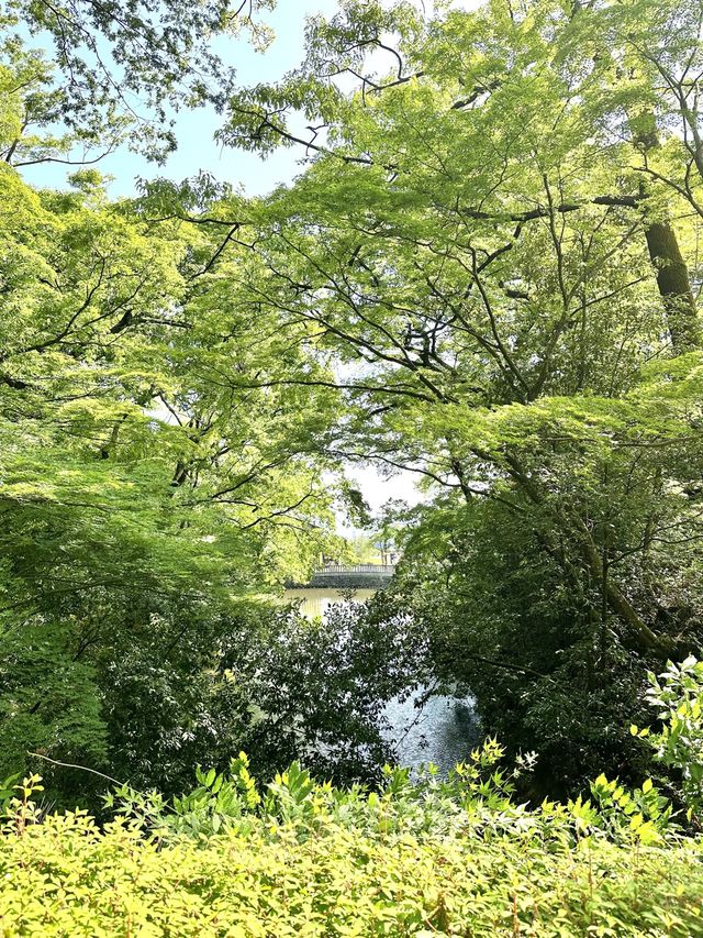 山梨観光＊武田信玄を祀る武田神社