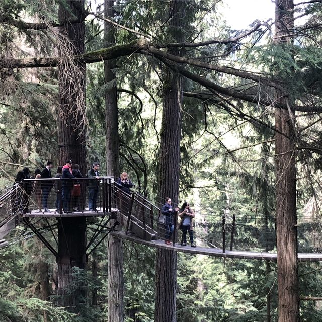 Heart stopping cliff walk!