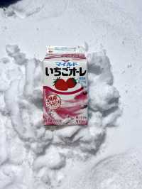 สัมผัสหิมะครั้งแรกที่ลายหิมะ Murodo ❄️❄️