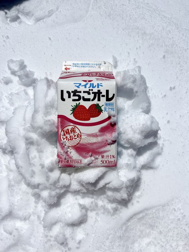 สัมผัสหิมะครั้งแรกที่ลายหิมะ Murodo ❄️❄️