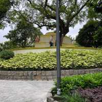 Montanha Russa Garden 