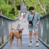 Penang Hill ปีนังฮิลล์ จุดชมวิว 360 องศา
