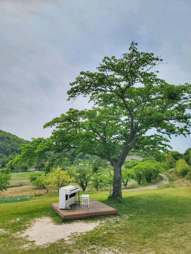 초록 가득한 힐링 한스푼🌿경주 최애여행코스💚