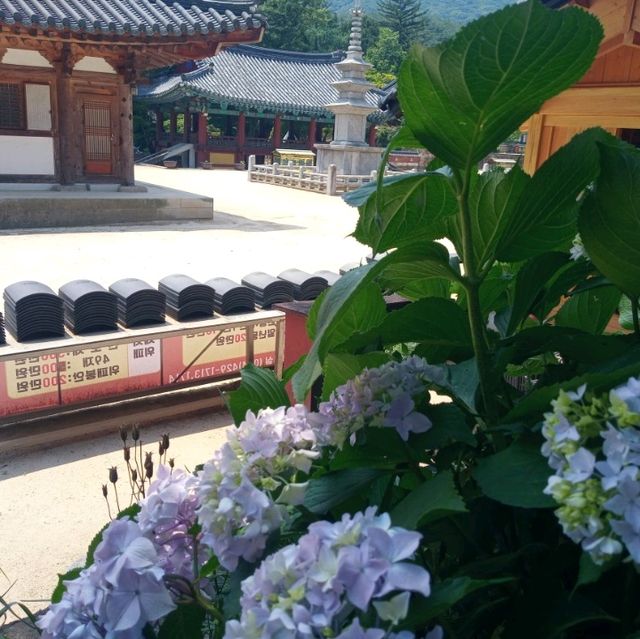 사명대사공원에탑과 직지사에 석탑투어